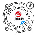進(jìn)入手機(jī)站